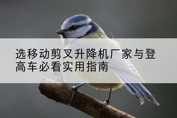云州电动升降机厂家-选移动剪叉升降机厂家与登高车必看实用指南