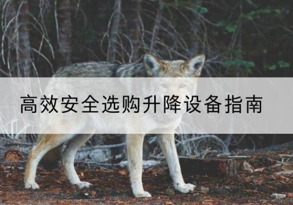 云州升降货梯厂家推荐-*安全选购升降设备指南